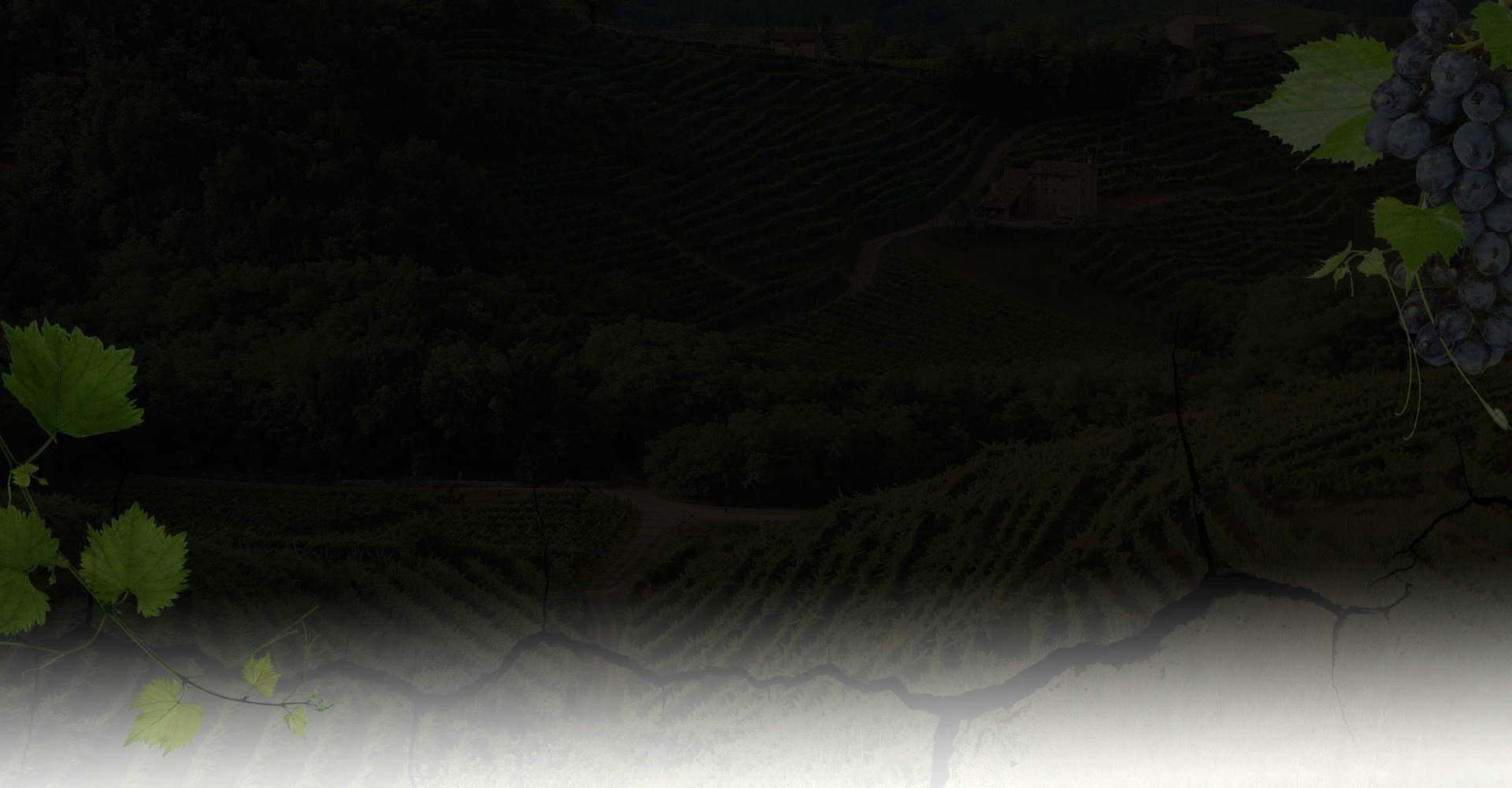 h17-bg-sl1.jpg