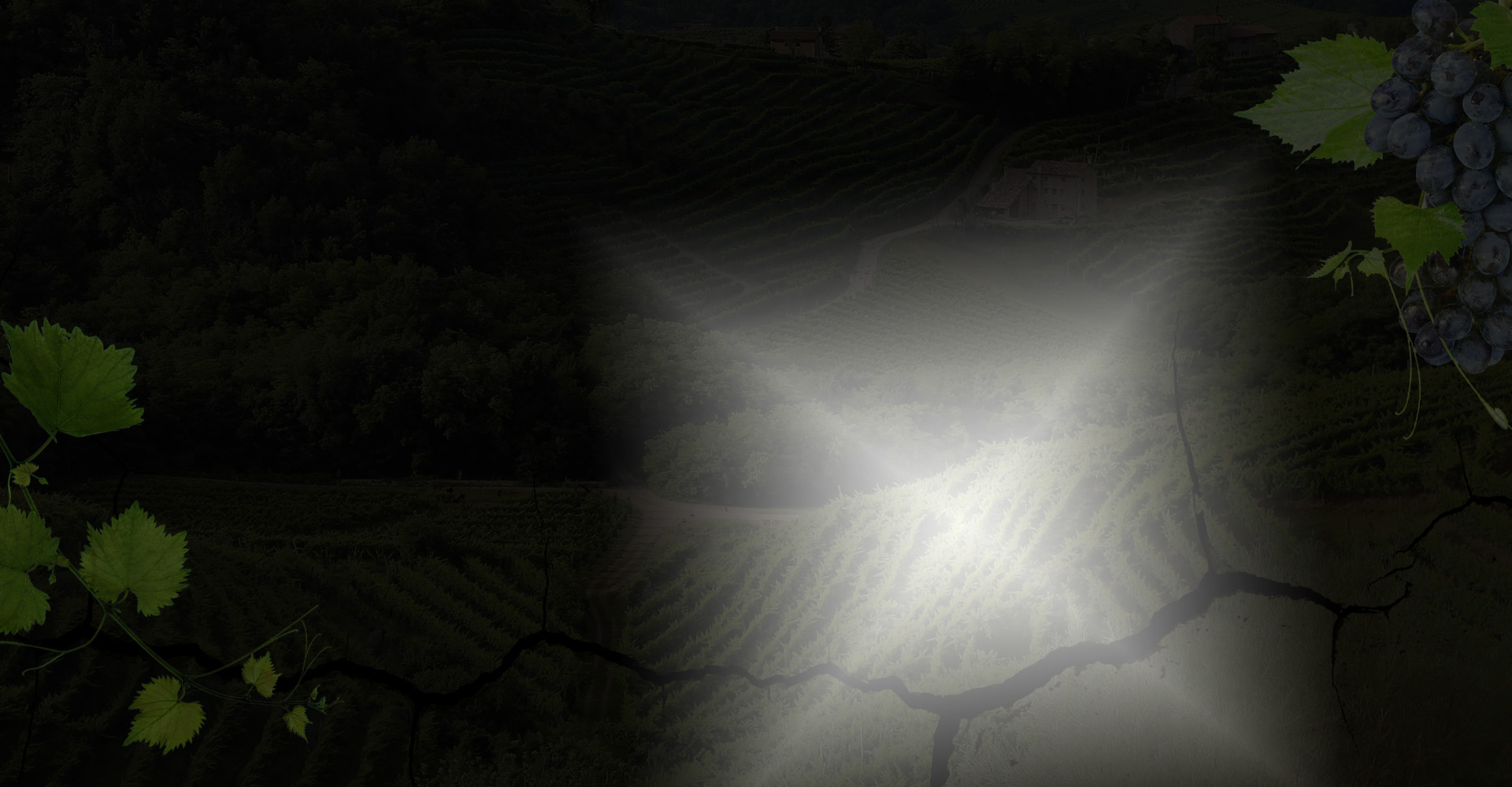 h17-bg-sl2.jpg